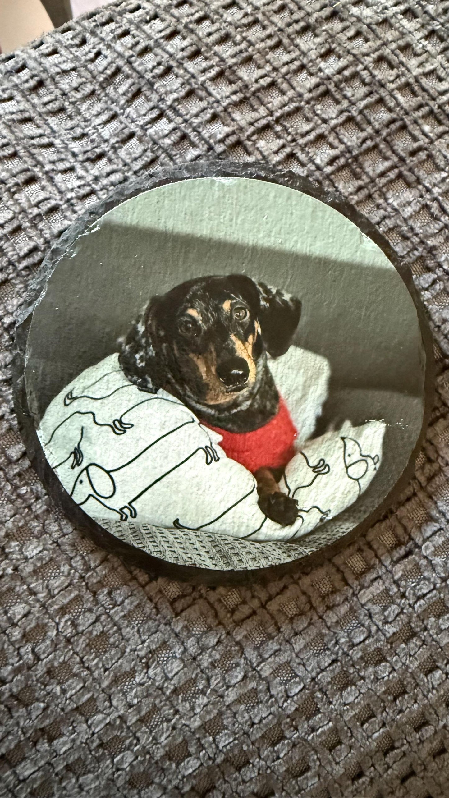 Custom printed Coaster. Have you Pet, Child, Car or family.